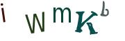 Vaizdinė CAPTCHA užduotis