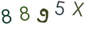 Vaizdinė CAPTCHA užduotis